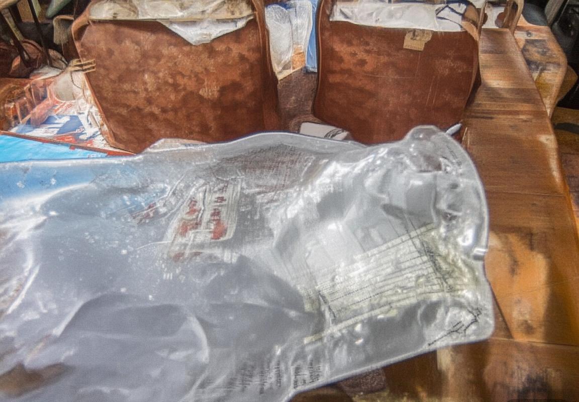 巴西朝鲜足球对决：文化交流与经典战役解析